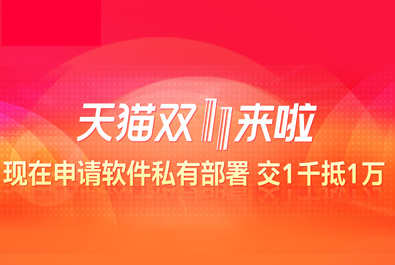 双11不孤单，有人准备这些来陪你