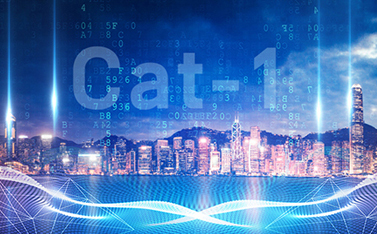 工信部重磅发文，Cat-1/NB-IoT再次站上新风口