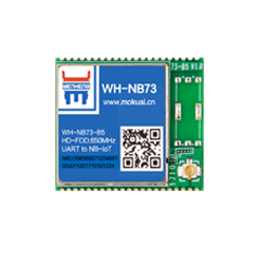 NB-IoT？