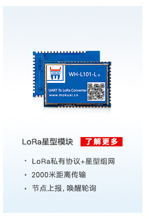 lora星型？