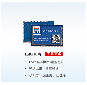 lora？