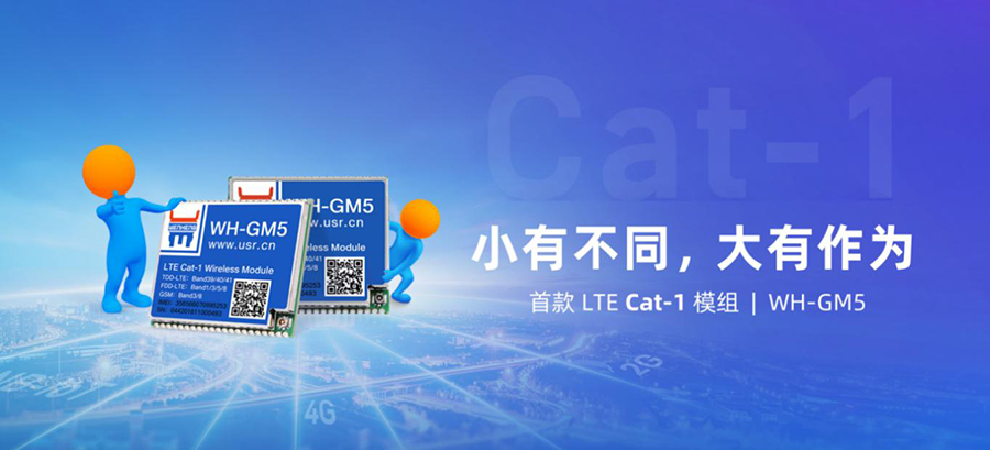 Cat-1？镚M5