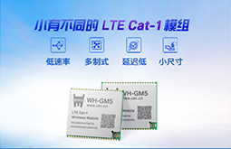 LTE Cat-1？ GM5