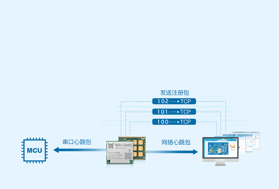 Cat-1？榈淖⒉岚